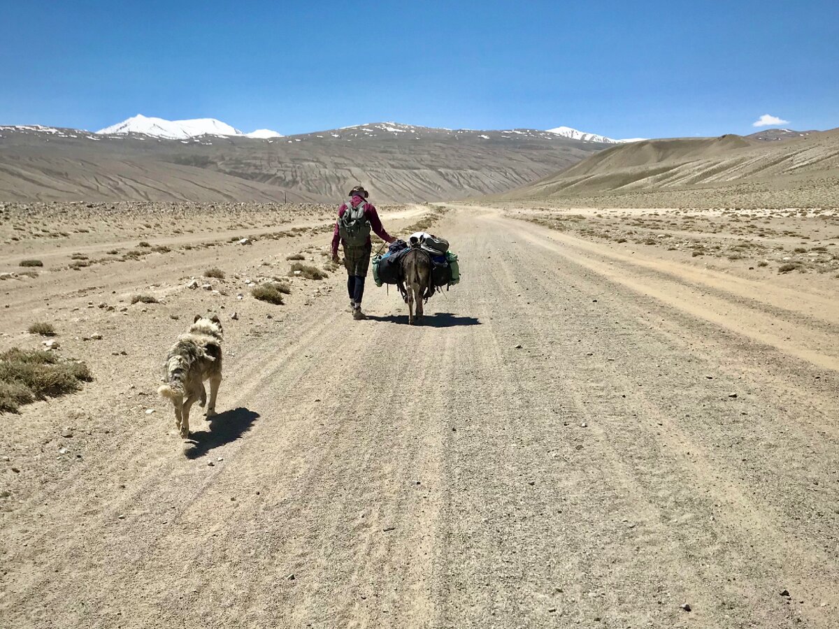 Глупые отговорки не интересовали Джека