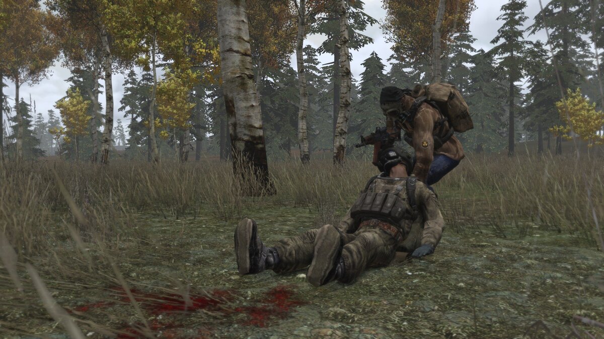 Is the dayz mod on steam фото 78