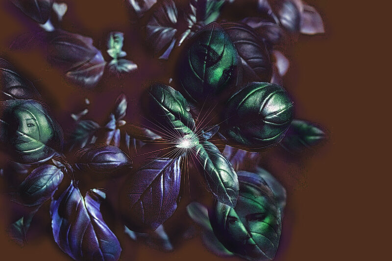 у нас тут междусобойчик