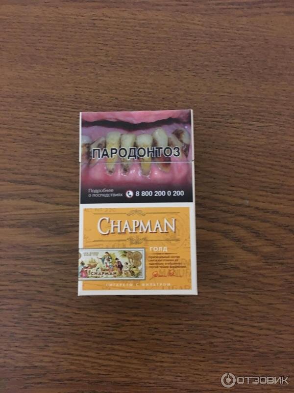 Chapman eclipse noire gold