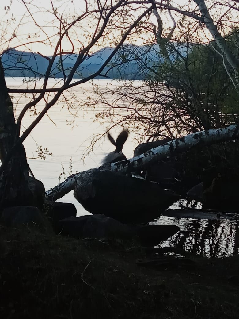 Фото из личного архива. 