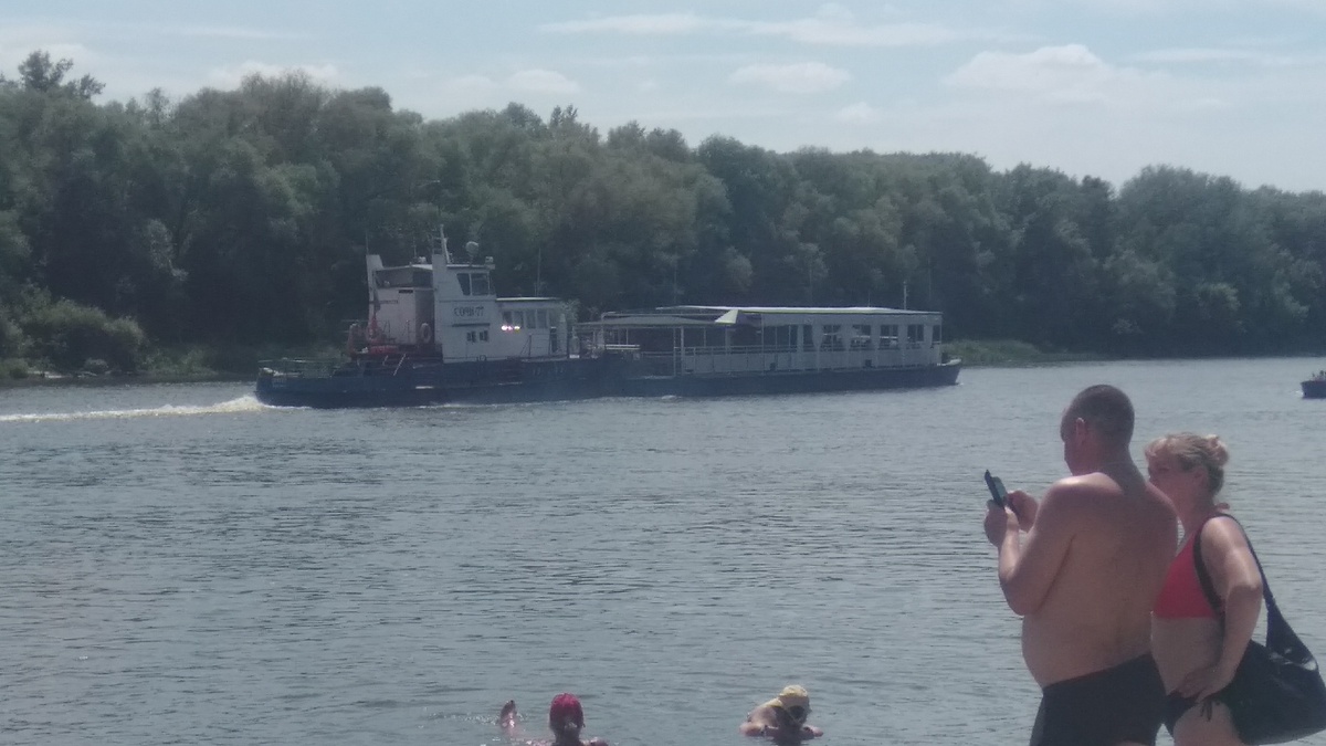 На Дону на Доне