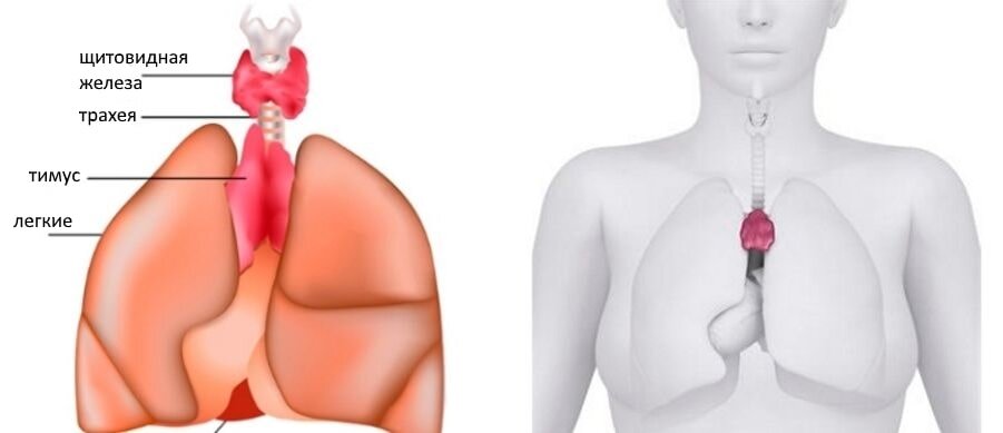 Фото взято из открытых источников