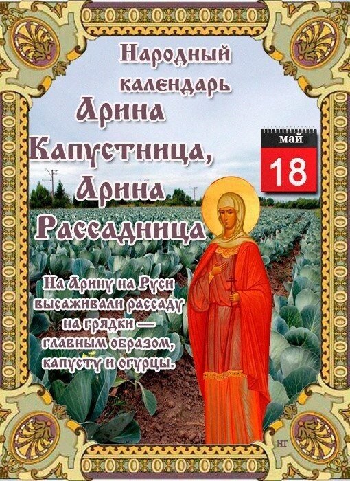 Арина Капустница (Рассадница)

Дата в 2020 году:18 мая

Другие названия: Арина; День Арины-рассадницы; Ирина-рассадница; Ирина; Орина; рассадницы; лопатницы; капустницы
Церковное название: Великомученицы Ирины Македонской
Значение: День памяти великой мученицы Ирины Македонской
Традиции: Посадка огурцов, капусты; заговоры на урожай

Народный праздник Арина Капустница (Рассадница) отмечается 18 мая 2020 года (дата по старому стилю – 5 мая). По православному церковному календарю в этот день чтится память великой мученицы Ирины Македонской. Названия «Капустница» и «Рассадница» праздник получил за то, что этого числа начинали высаживать рассаду капусты.

История

Славянка Ирина жила в I веке. Ее отцом был правитель Маггедона (город в Македонии) Ликиний. В юные годы Ирина познала христианское вероучение и отступила от языческих обрядов. Потом она приняла Крещение. Девушка решила не выходить замуж и стать невестой Иисуса.

Ирина изучала христианство и начала приобщать к нему родителей. Отец считал это временной забавой, но понял, что дочь говорит с ними серьезно. После того, как Ирина отказалась поднести дары идолам, он разгневался и толкнул ее под копыта диких лошадей. Но те не тронули девушку, а насмерть задавили Ликиния. Ирина начала усердно молить Бога о воскрешении отца. Господь услышал ее молитвы. Правитель вернулся к жизни и уверовал в Истинного Бога. К нему присоединилось многочисленное семейство и три тысячи жителей.

После этого Ирина начала смело проповедовать веру во Христа. За это ее подвергали оскорблениям и мучениям. Но каждое новое испытание приводило к Иисусу людей, которые видели, как истязания оборачивались чудесами. Более 10 тысяч язычников пришли к Богу благодаря невинной деве.

Когда Ирина узнала, что вскоре умрет, она заперлась в пещере. Через три дня ее открыли, но девушки внутри не оказалось. Люди поняли, что она вознеслась на небо.

Традиции и обряды

В этот день сажают рассаду огурцов и капусты. Делают это рано утром, пока никто не видит. Сверху на первое растение ставят перевернутый горшок. Его накрывают венком с Троицы или белой скатертью. Вечером того же дня старшая в семье женщина выходит к посевам с горшком, который заранее наполняет сорванной крапивой, желательно с корнями. Она ставит его вверх ногами в середине огорода или поля. Такие обряды проводят, чтобы оградить будущий урожай от дурного завистливого глаза, отпугнуть нечистую силу и помочь растению вырасти сильным и плодородным.

Девушки днем и вечером водят хороводы и читают заговоры на урожай.