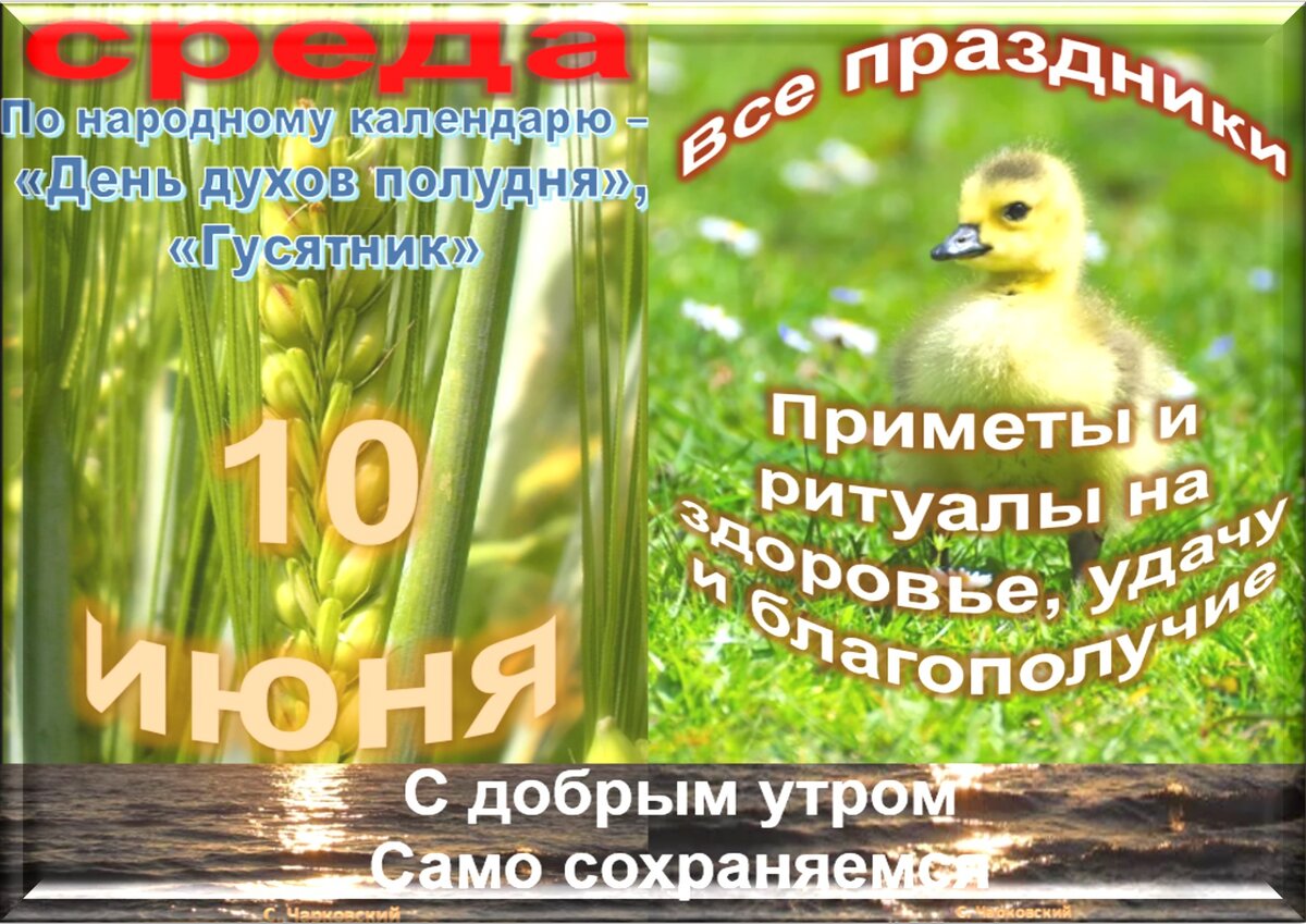 10 июня 21. 10 Июня народный праздник. Праздники сегодня 10 июня. 10 Июня какой праздник картинки. 10 Июня приметы.