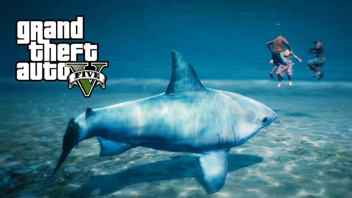 Акула гта 5. Белая акула в гта 5. Гта 5 акулы где. Gta 5 акула. Гта 5 акулы где.