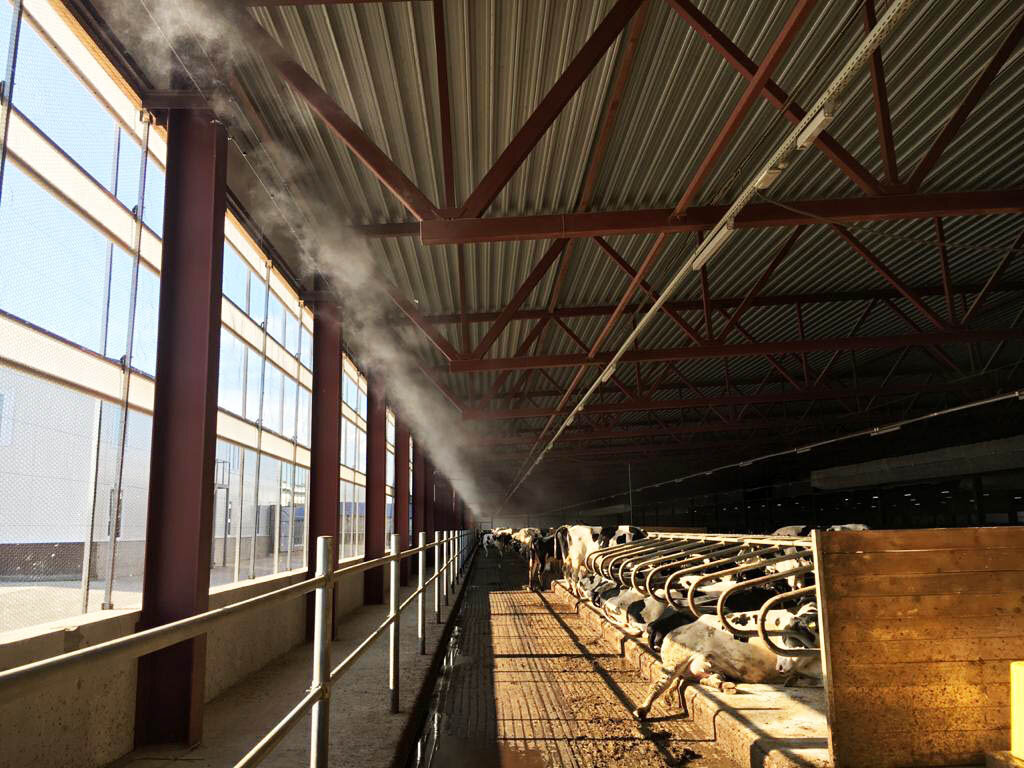 Источник фото: agrovent.ru