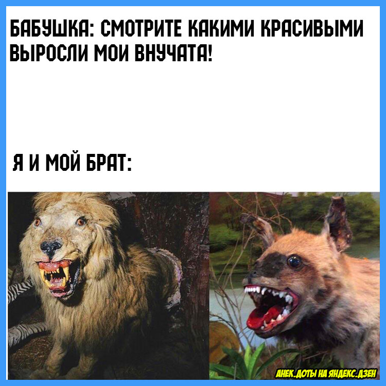 Смешные мемы