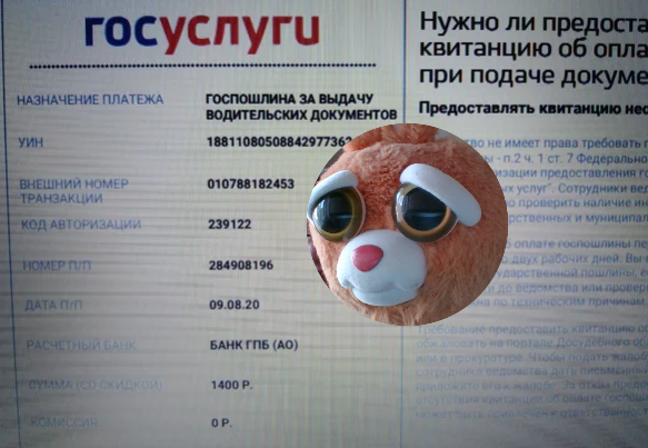 платеж на госуслугах
