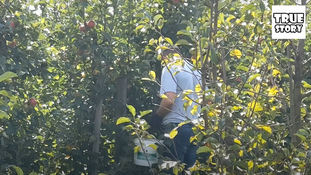 В деревне все время надо работать