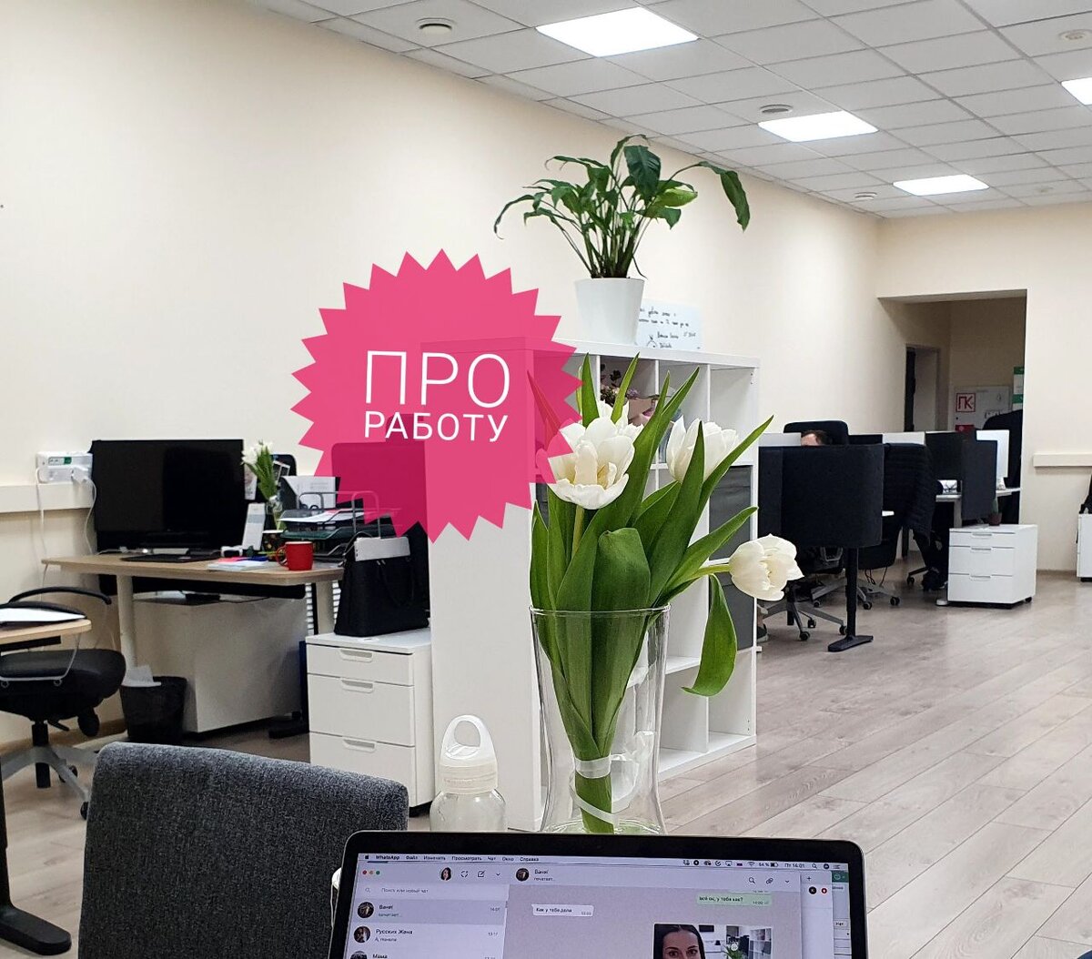 Фото из личного архива: когда мы ещё работали в офисах))