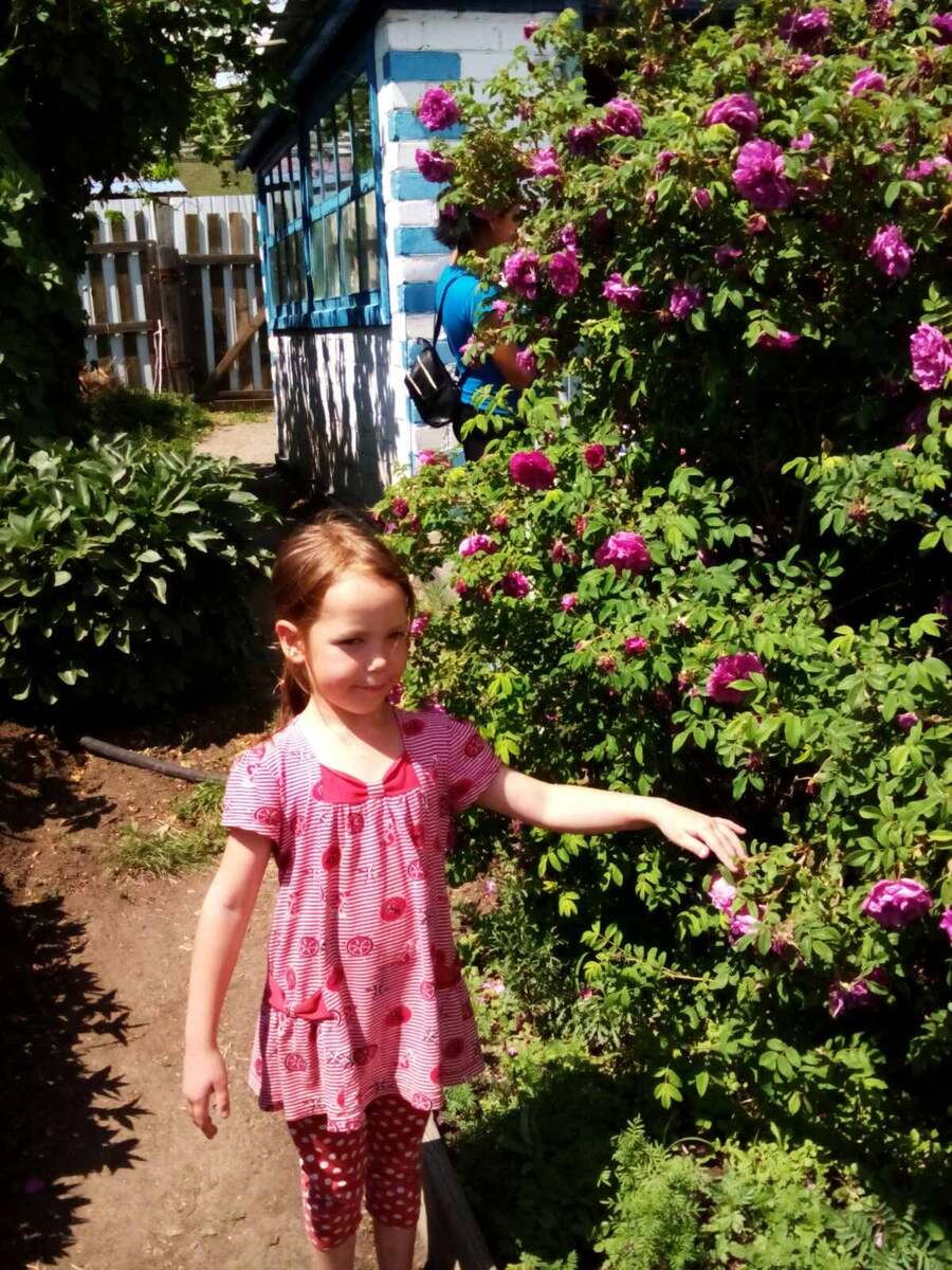 В гостях на даче у знакомых