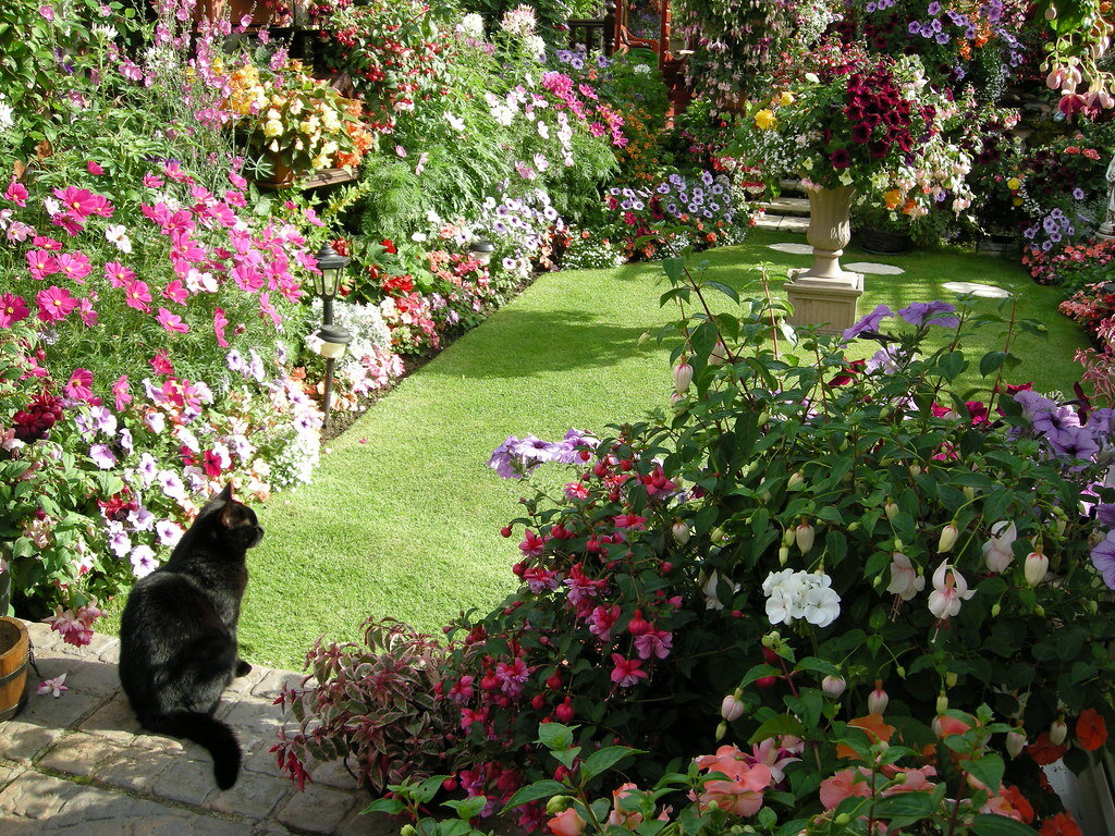 Красота в саду. Испанский дворик патио. Цветущий дворик. Набережные челны фото дворов цветущий дворик. Решетчатая арка в сад в греции.