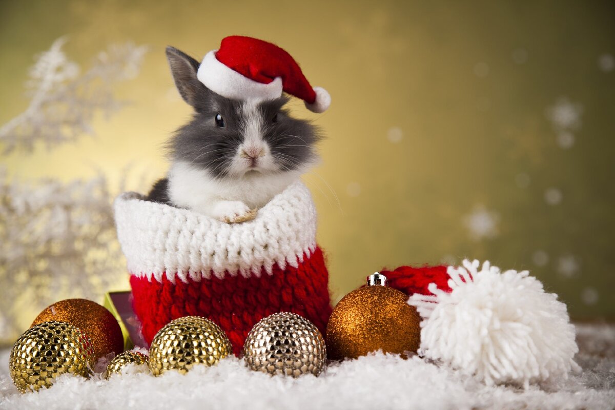 https://www.vash-ng.ru/wp-content/uploads/2019/06/Christmas_Balls_Winter-1-scaled.jpg