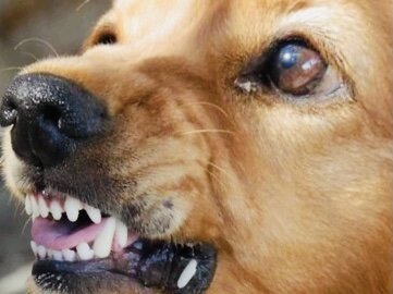 Изображение с сайта https://pixabay.com/