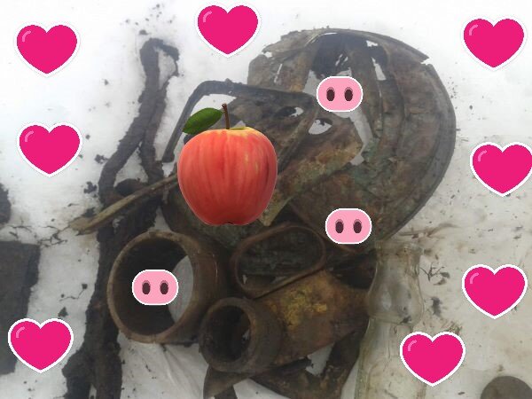 Продолжаем поиск.