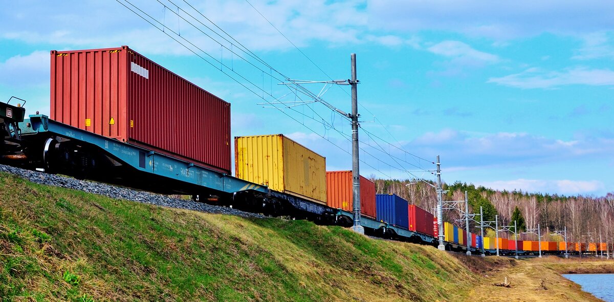 Фото на обложке: Shutterstock