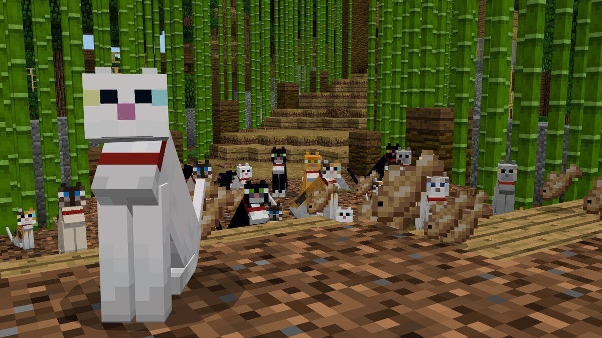 Como domesticar un gato en minecraft