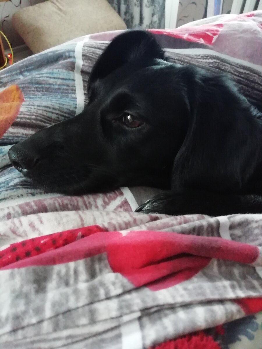 Наша родная девочка Линда