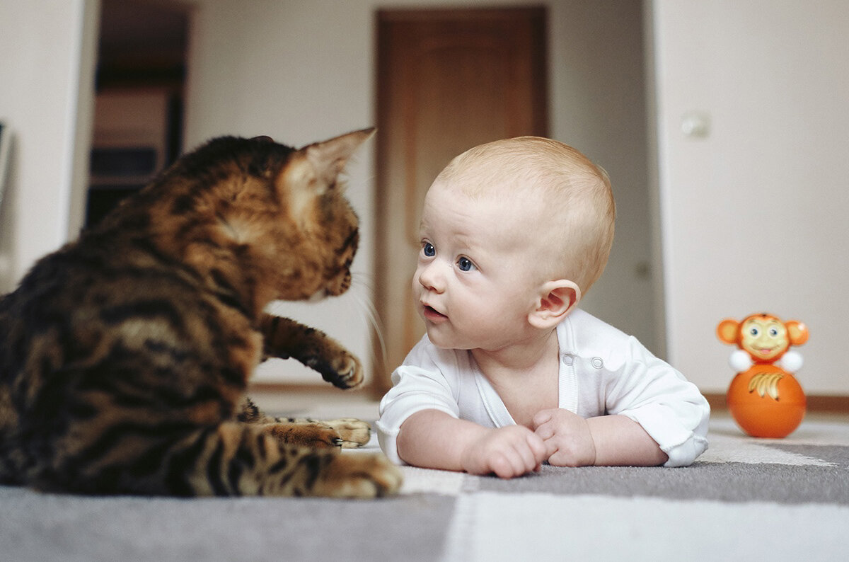 Что-что они там пить собрались?