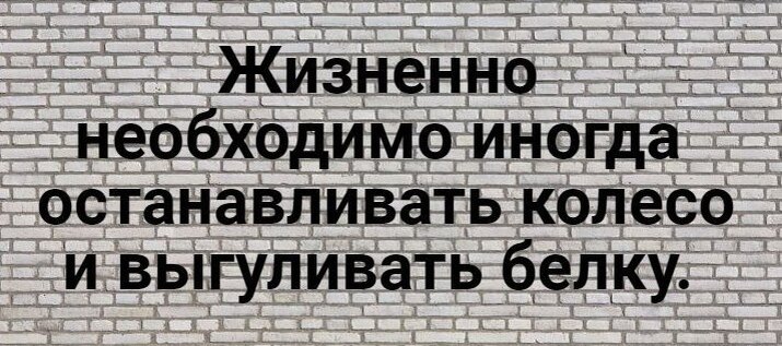 Жизненная необходимость истинное удовольствие кормления