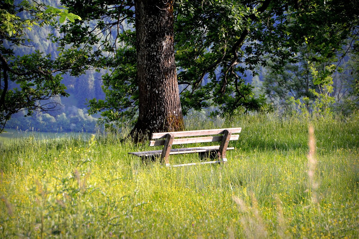 изображение с сайта pixabay.com