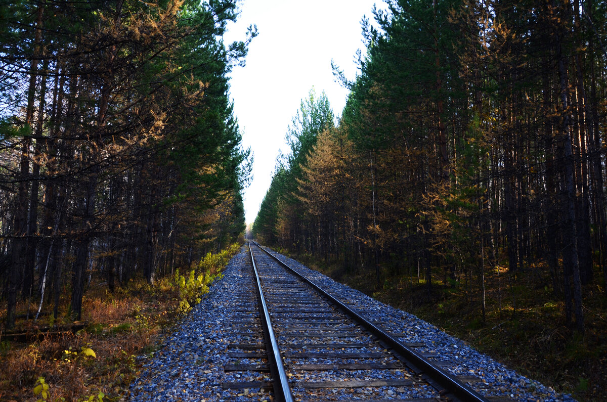 Фото из личного архива автора