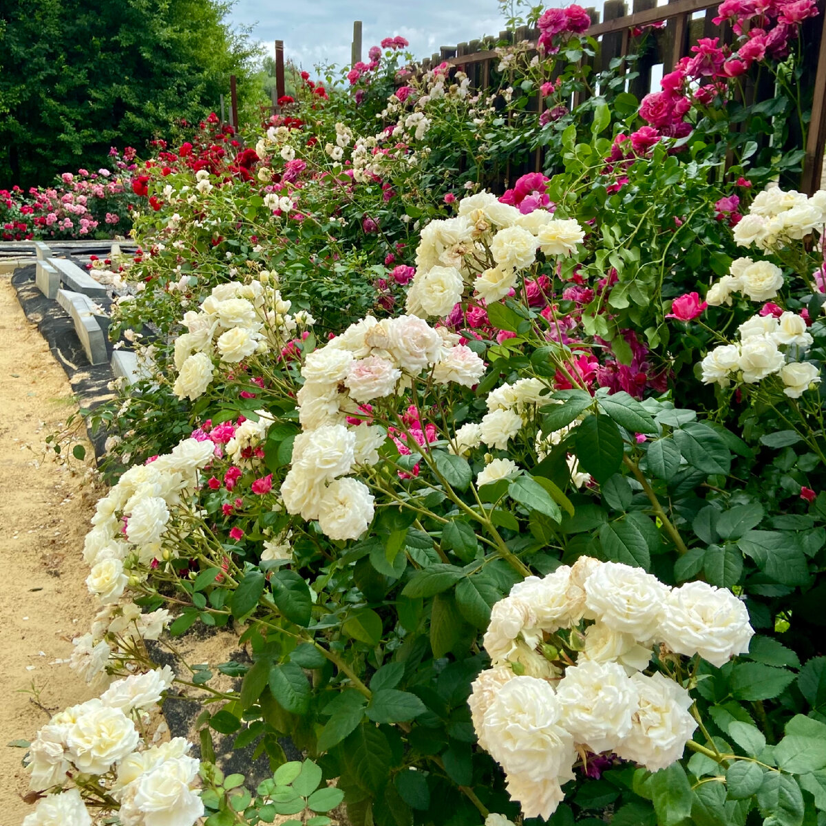 Летняя фотография того же массива