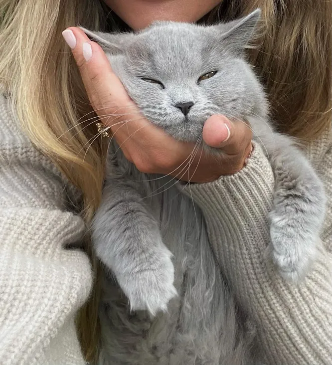 @mathildegoehler