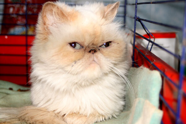 В стационаре