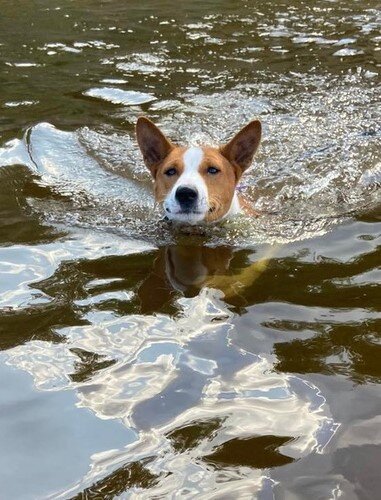 Я плыву спасать маму от крокодилов. Фото автора