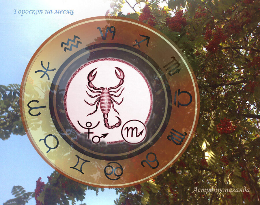 Коллаж Нины Стрелковой. 