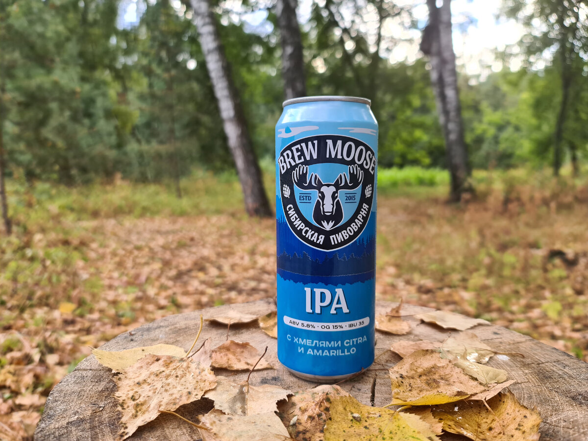 Пиво Brew Moose Lager
