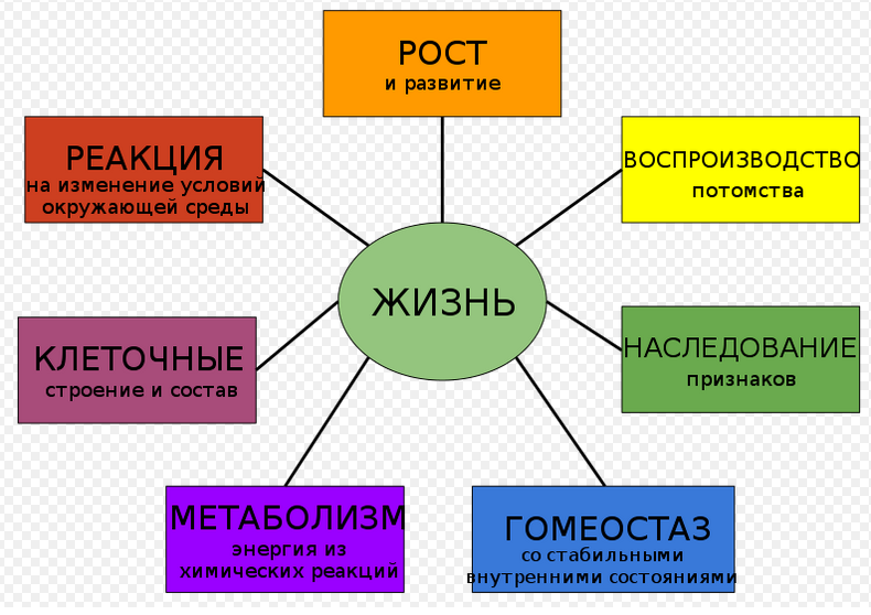 Яндекс картинки в свободном доступе