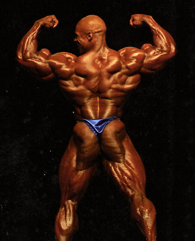 Flex Wheeler спина