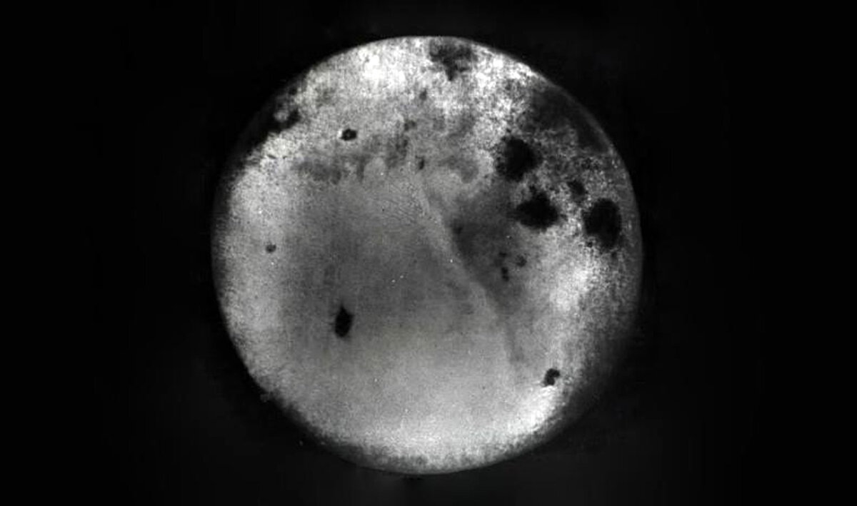 Обратная сторона Луны первый снимок 1959