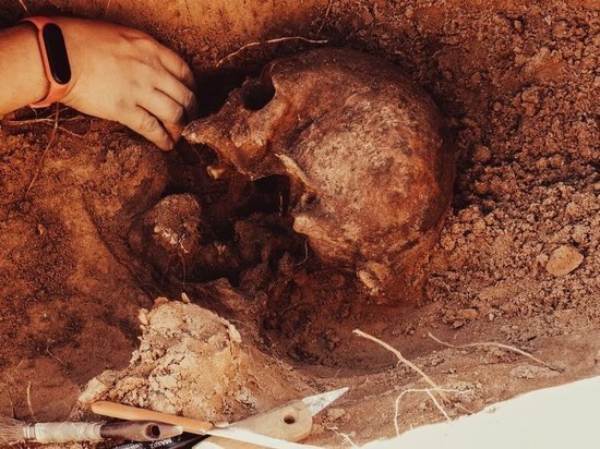   Екатерина Царева