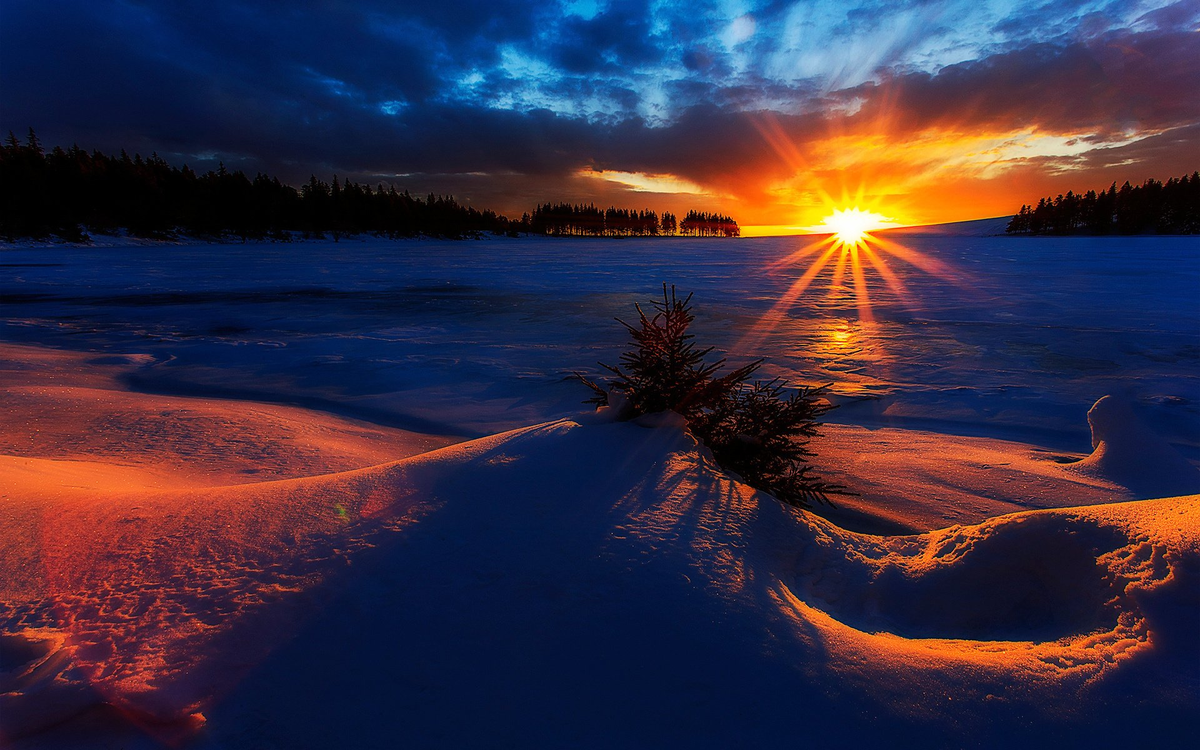 Любим от души