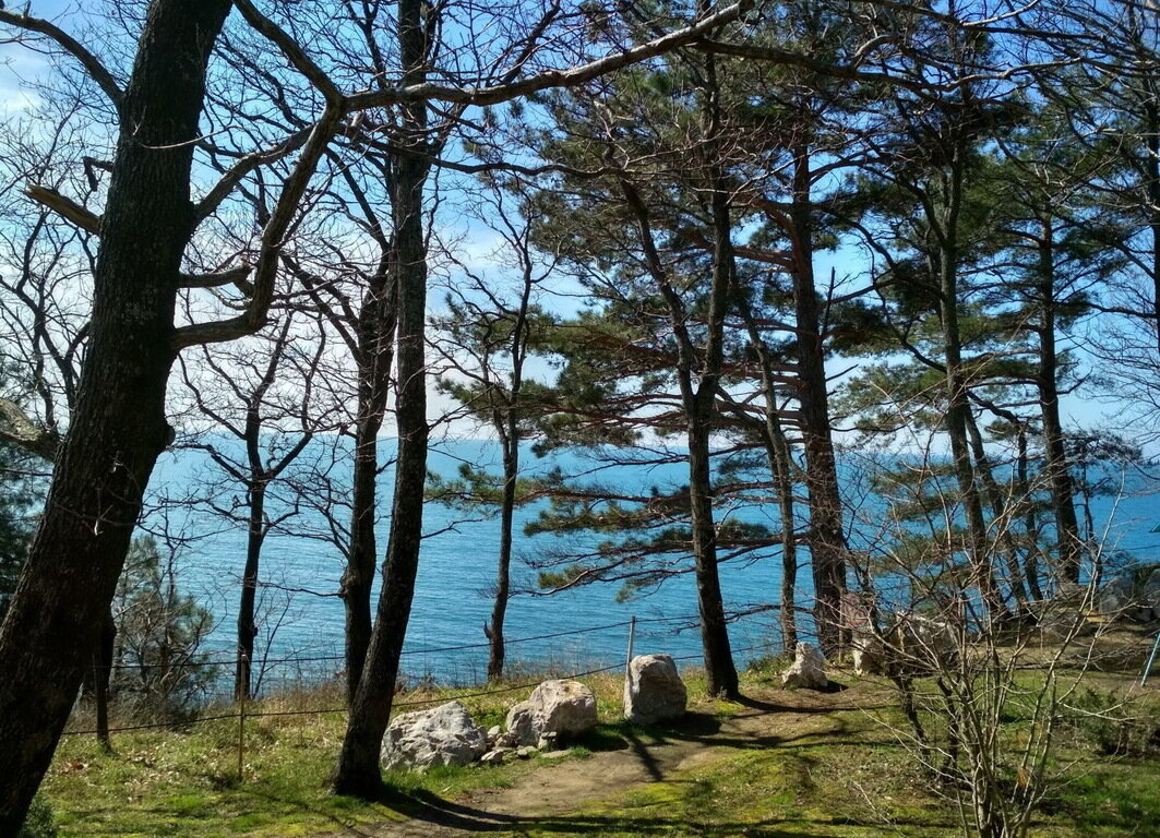 Добро пожаловать в Майский и Сосновый