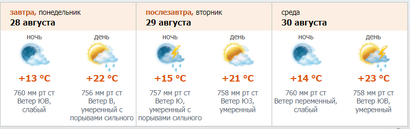    Прогнох погоды на 28 августа. Автор фото: Северо-Западное УГМС