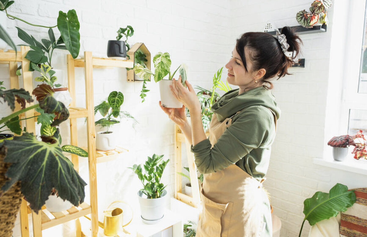 Фото из фотобанка Лори 