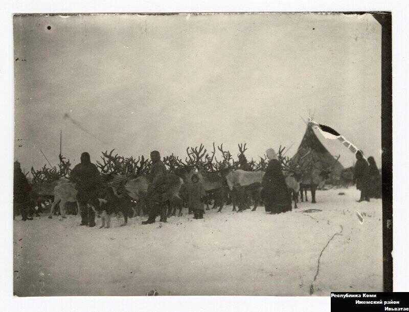 Олени собраны в круг. 5-я бригада колхоза Казым.Период создания: 1939 г.

Локация: Союз Советских Социалистических Республик (СССР), Российская СФСР, Остяко-Вогульский нац. округ. Белоярский р-он, пос. Казым

Авторы: Балин Виктор Григорьевич

Музей: Бюджетное учреждение Ханты-Мансийского автономного округа - Югры "Музей Природы и Человека" (БУ "Музей Природы и Человека")