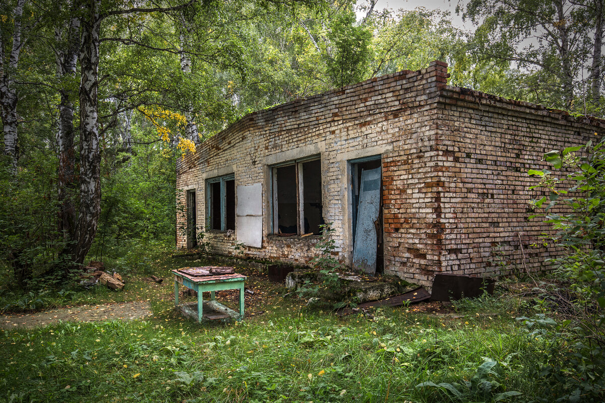 Лагерь пионер ленинградская область. Пионер лагерь новосибирск. Пионерский лагерь пионер новосибирск. Пионерский лагерь березка новосибирск. Заброшенный пионер лагерь незабудка.