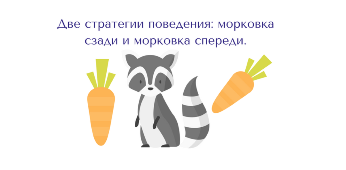 Морковка спереди или морковка сзади. Польза моркови. Купить семена морковка боливар в волгограде. Морковка программа. Какие витамины в морковке.