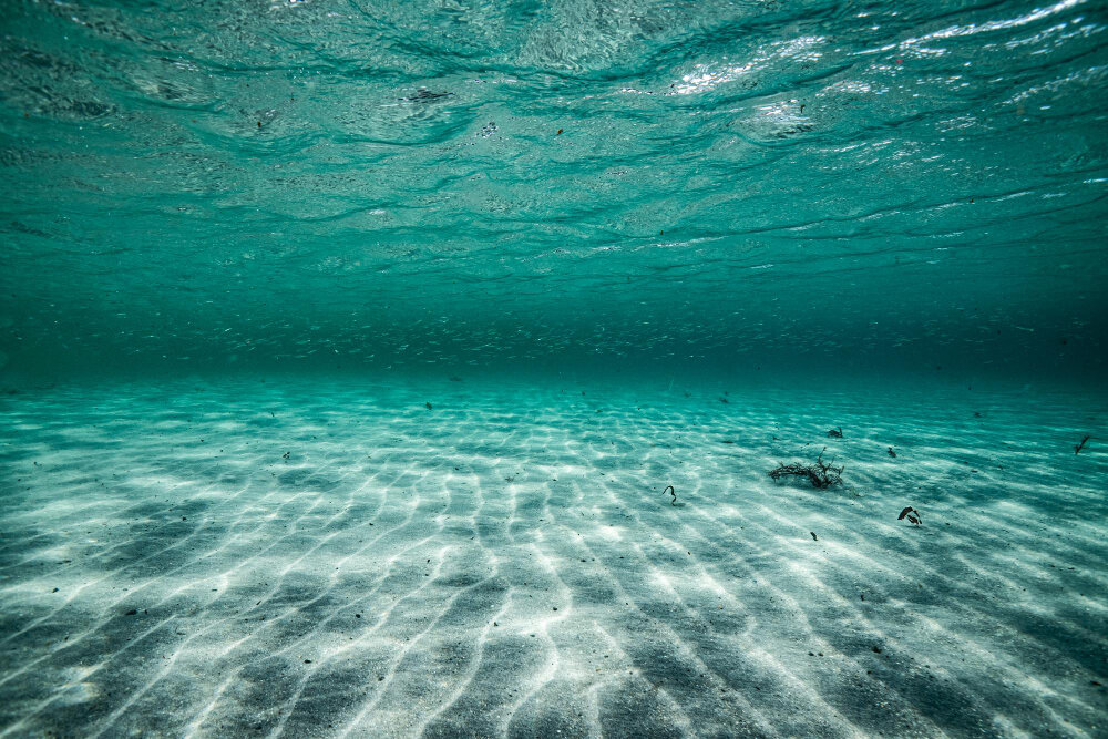 First ocean. Океан меняется. Океан смены.