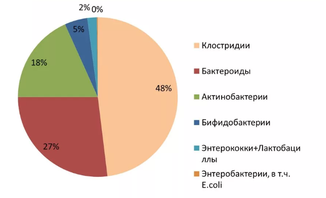 Это процентный состав нашего микробиома в тонком кишечнике.