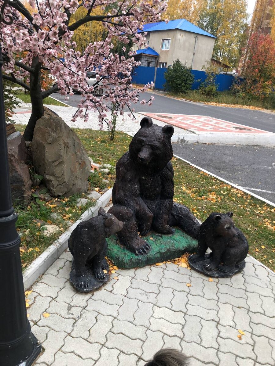 Фото автора