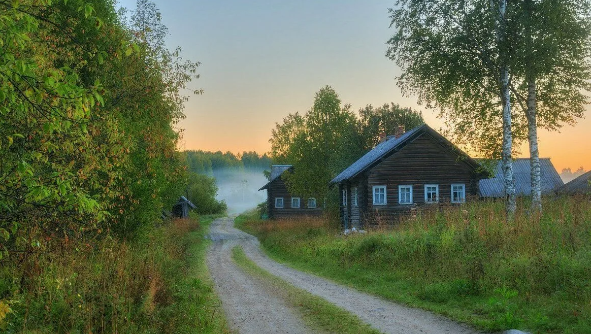 Яндекс картинки