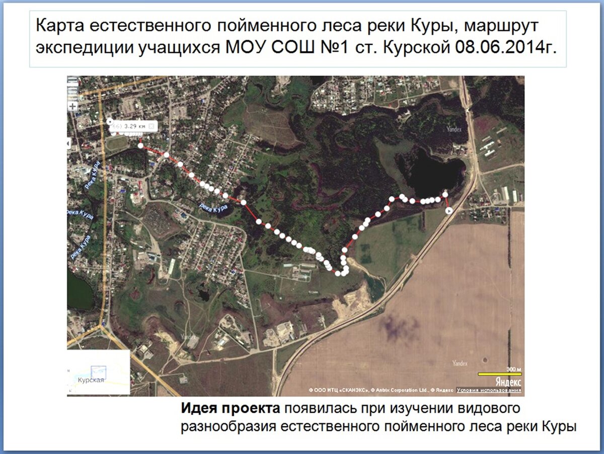 Слайд из презентации к защите проекта "КЛЕТОЧНАЯ ЭВОЛЮЦИОННАЯ МОДЕЛЬ БИОРАЗНООБРАЗИЯ" Мелещенко Е., 2014-2015 г.