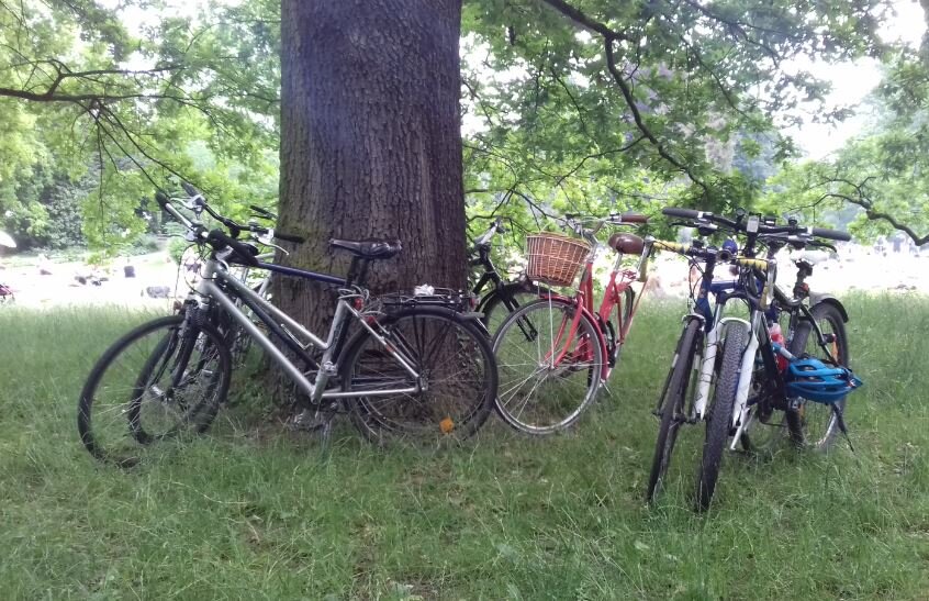 Для прогулки подойдет любой тип велосипеда